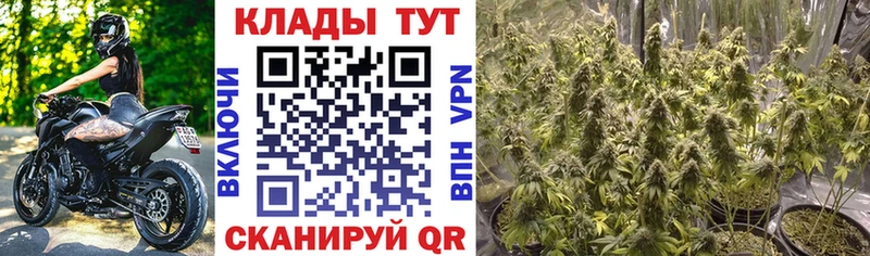 Кокаин Приволжский