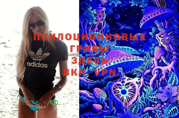 бошки Алзамай