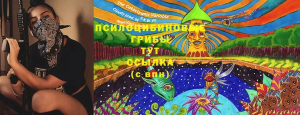 метадон Магас