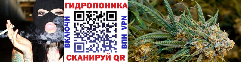 Бошки марихуана планчик  Приволжский 